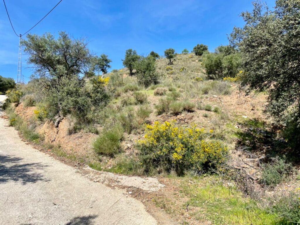 Terreno de 33.000m en venta - foto 10