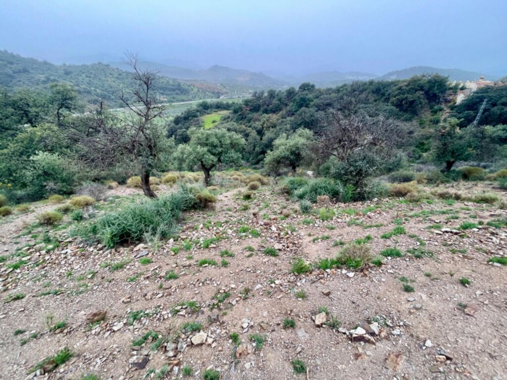 Terreno de 33.000m en venta - foto 11