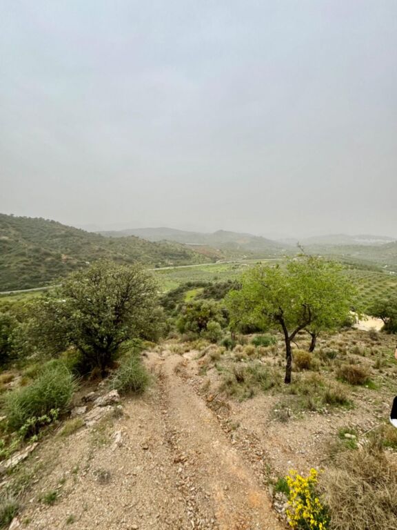 Terreno de 33.000m en venta - foto 12