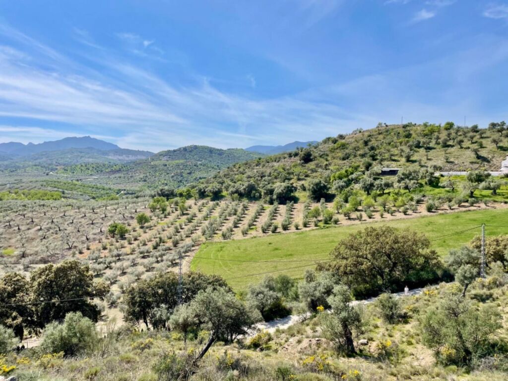 Terreno de 33.000m en venta - foto 21
