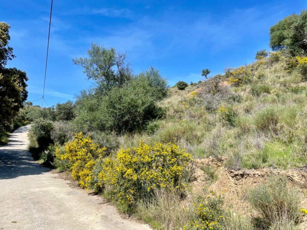 Terreno de 33.000m en venta - foto 26