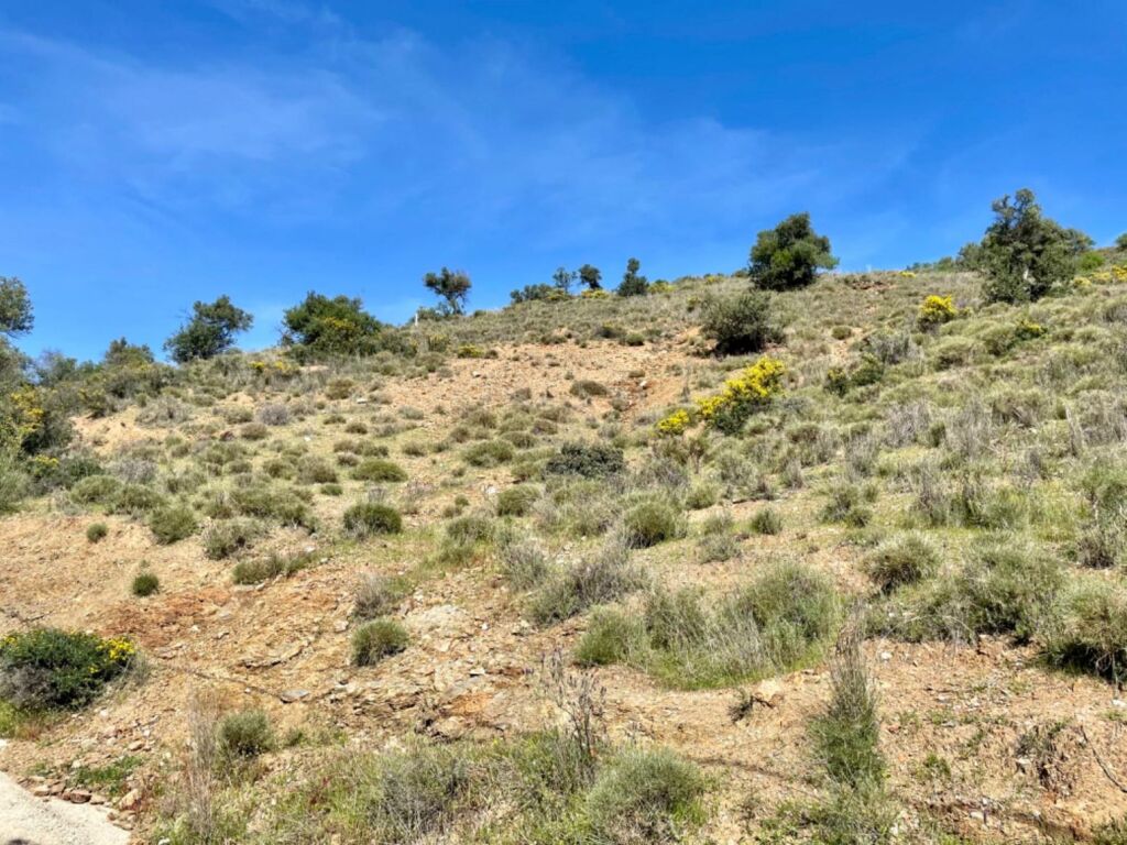 Terreno de 33.000m en venta - foto 34