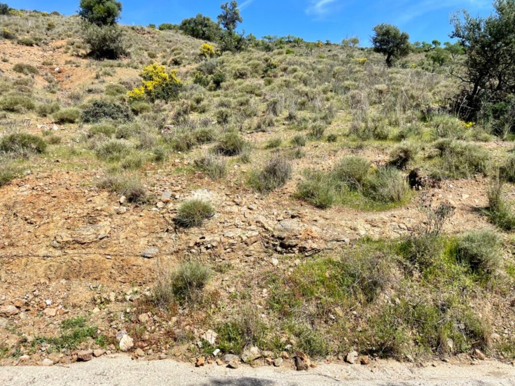 Terreno de 33.000m en venta - foto 35