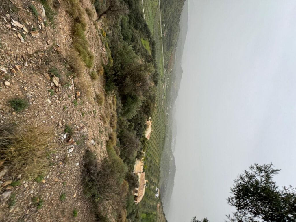 Terreno de 33.000m en venta - foto 36