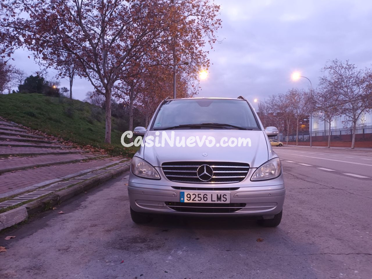 Mercedes Viano Activity