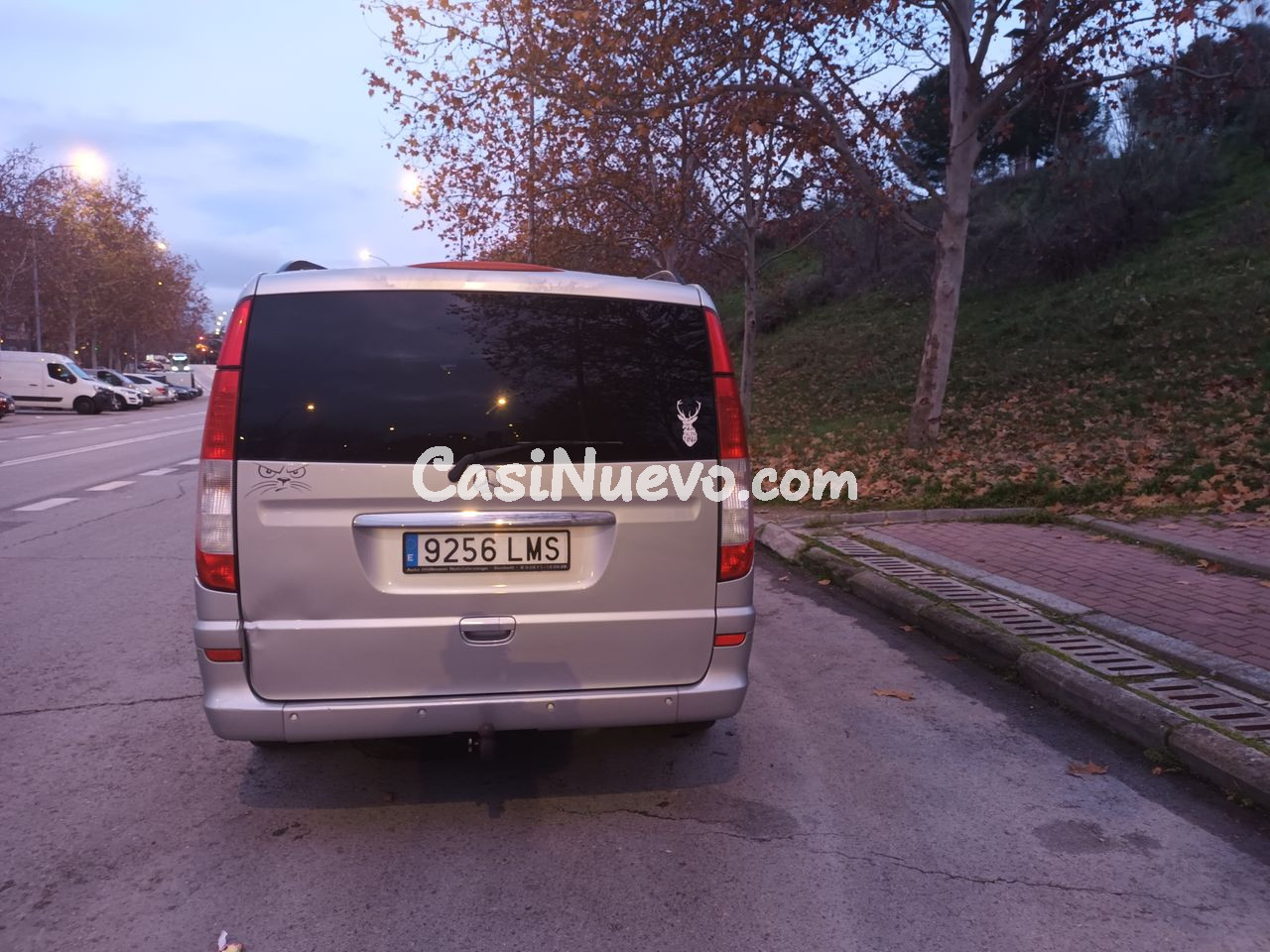 Mercedes Viano Activity