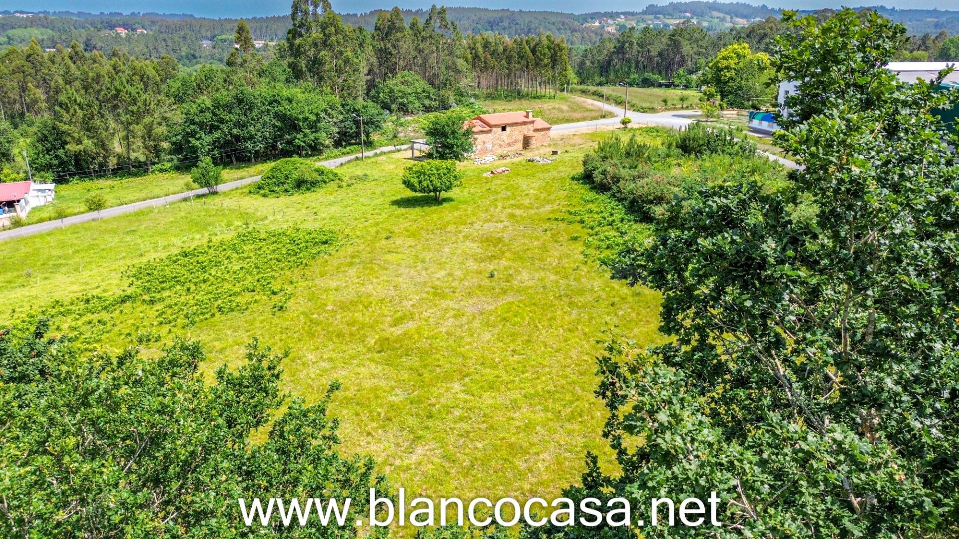 ¡CASA para REHABILITAR y con 6.676m2 de TERRENO con proyecto - foto 2