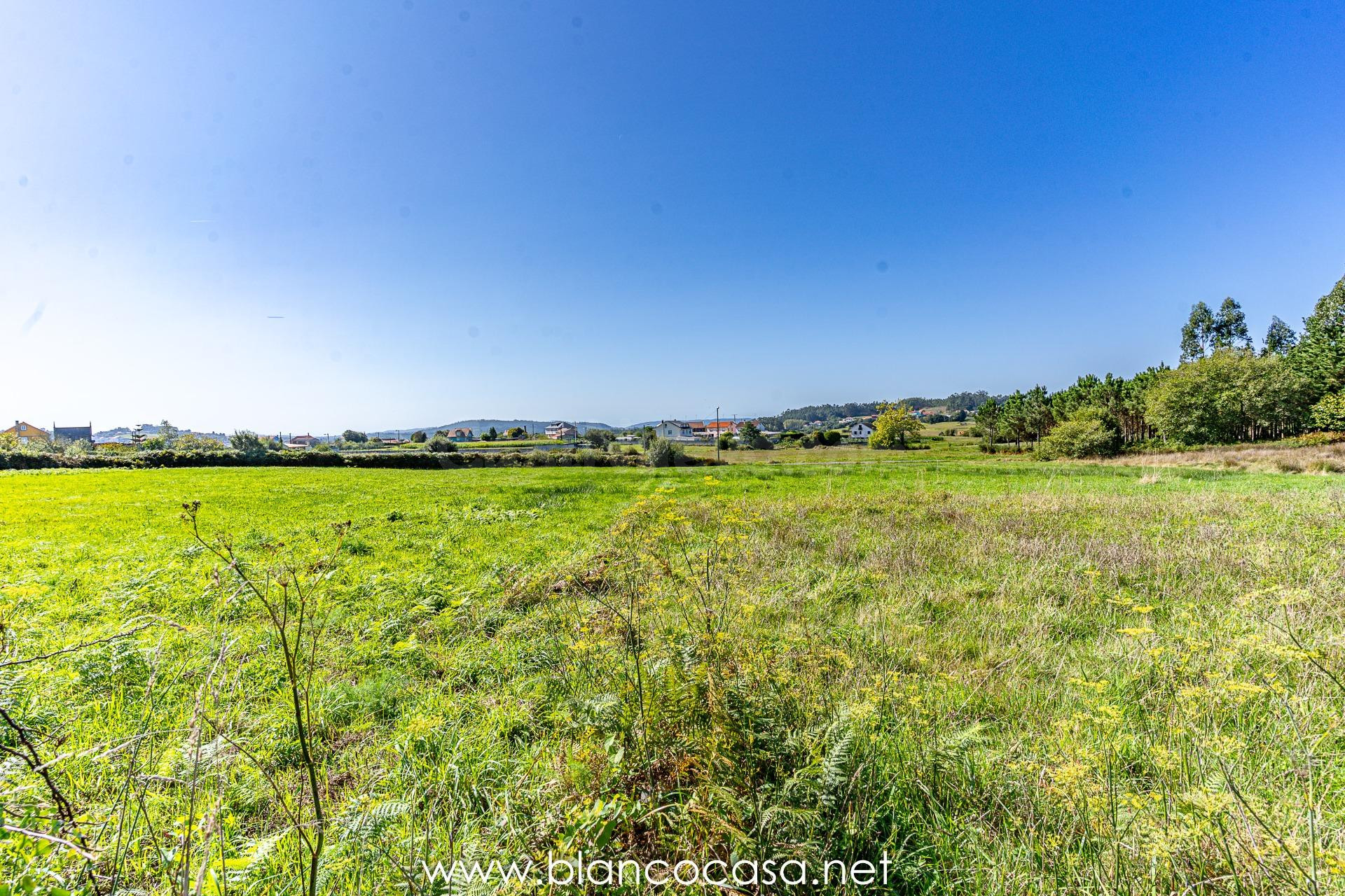🌿 SOLAR en Leiloio (Malpica de Bergantiños) a 3,4 km de la 🌊 - foto 2