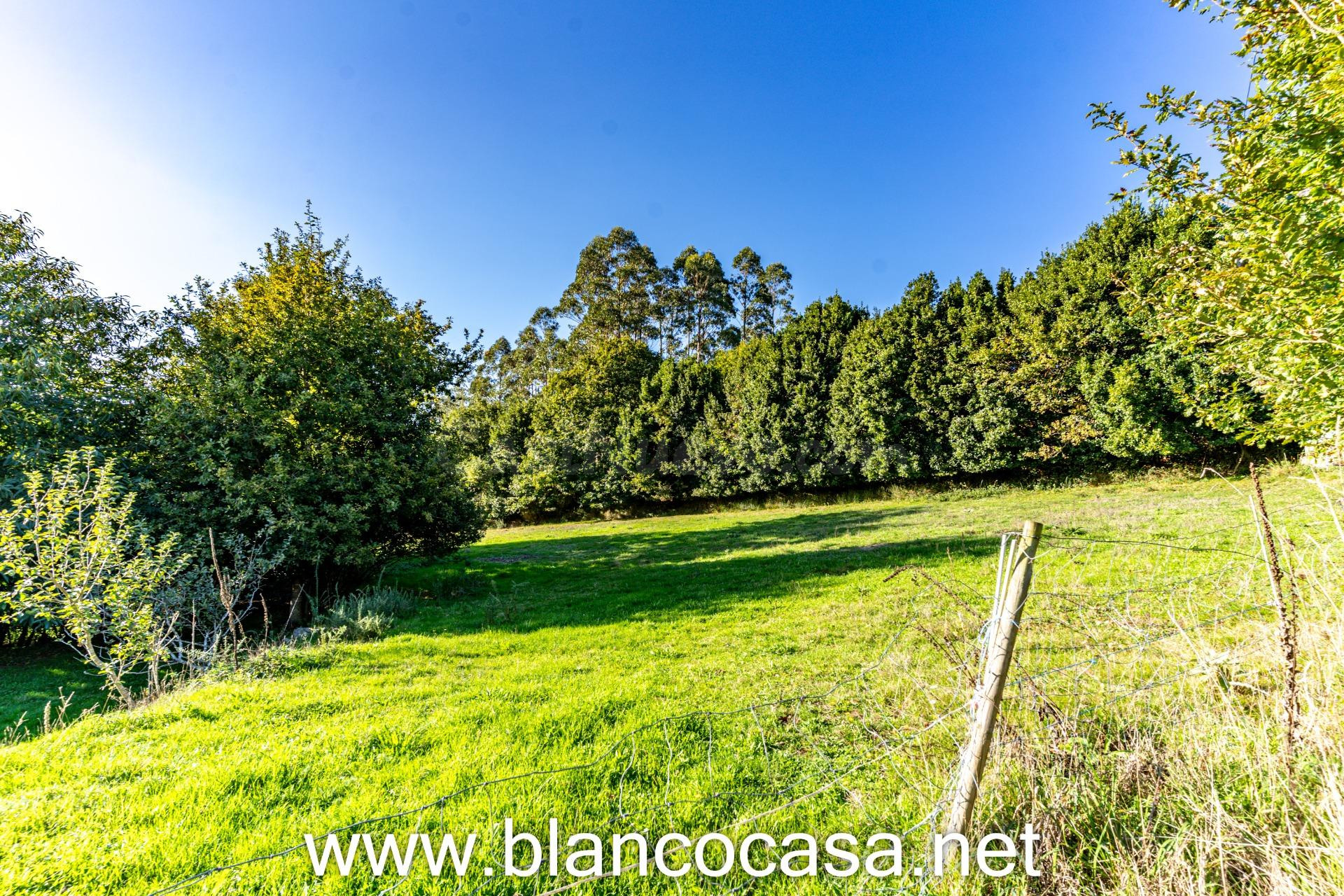 🏡 CASA para REFORMAR con 10.486 m2 de 🌿 TERRENO en LARACHA ( - foto 3