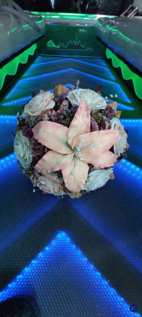 FOTO Y VIDEO PROFESIONAL SANTA APOLONIA TEACALCO