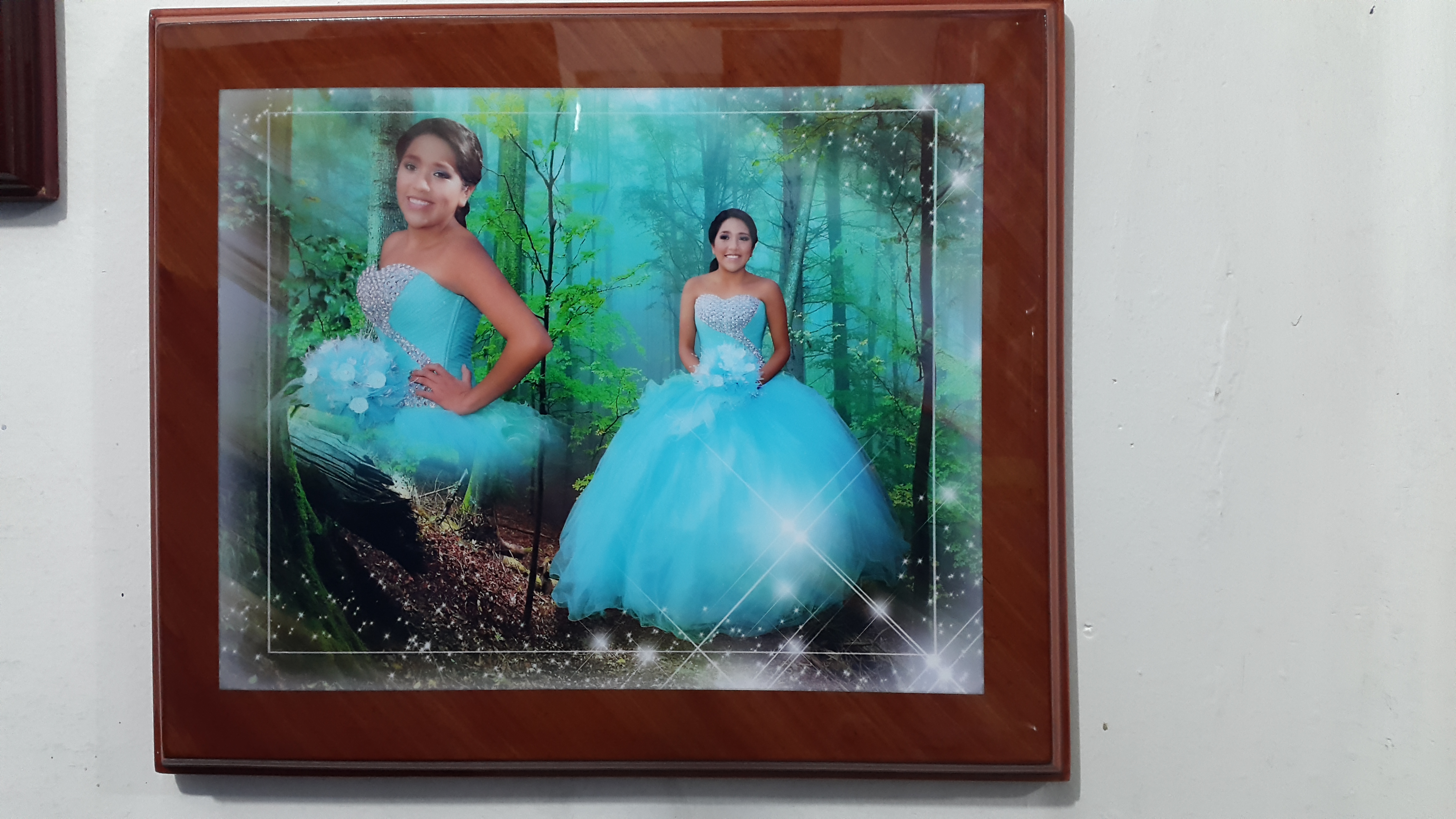 SERVICIOS PROFESIONALES FOTO Y VIDEO APASEO EL GRANDE