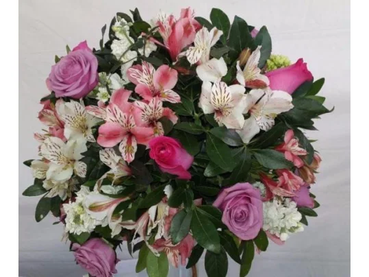 FOTOGRAFIA Y VIDEO FILMACION PROFESIONAL COMONFORT 