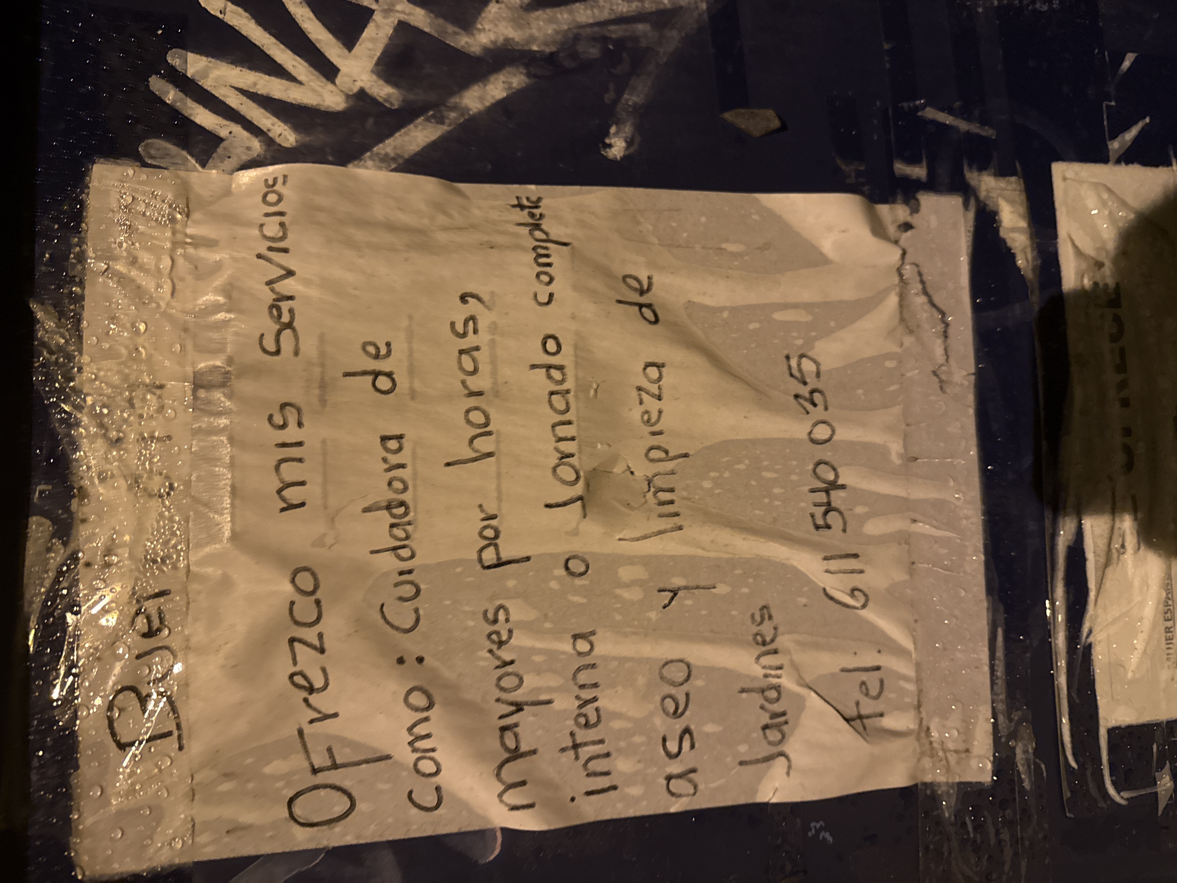 Servicios de Cuidado y Limpieza