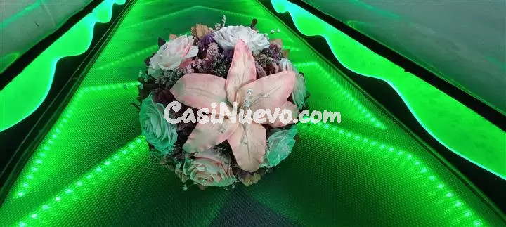 FOTO Y VIDEO PROFESIONAL ZIMAPAN 