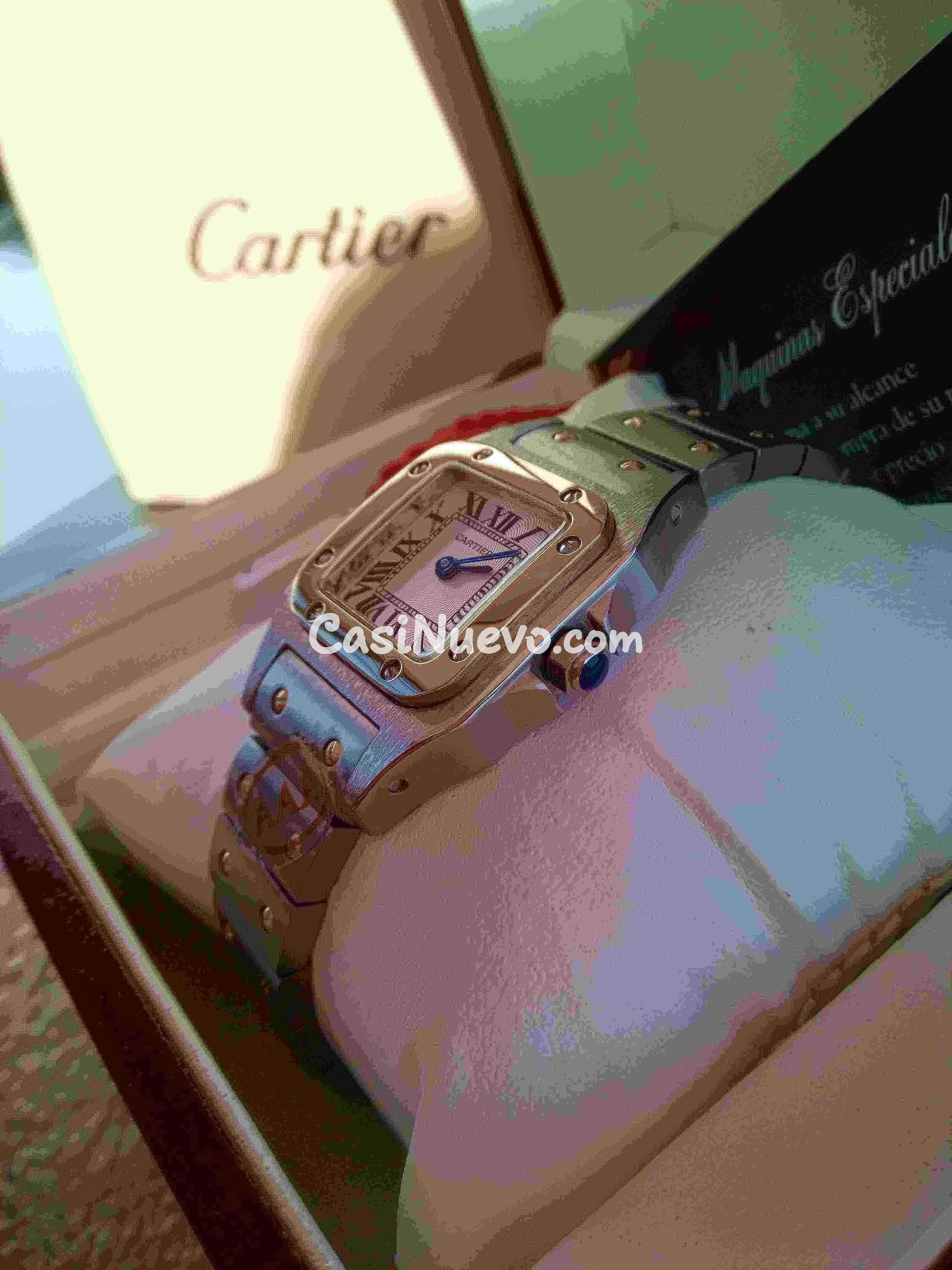 Cartier Santos Galbee