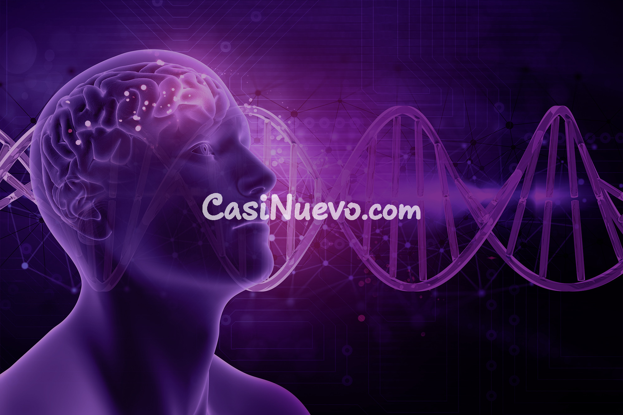 HIPNOSIS - PSICOLOGIA TRANSPERSONAL ONLINE