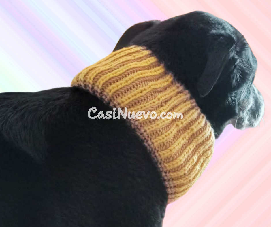 Bufanda para perro