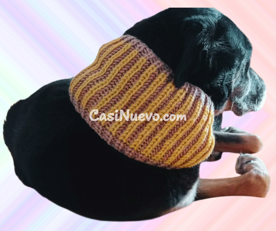 Bufanda para perro