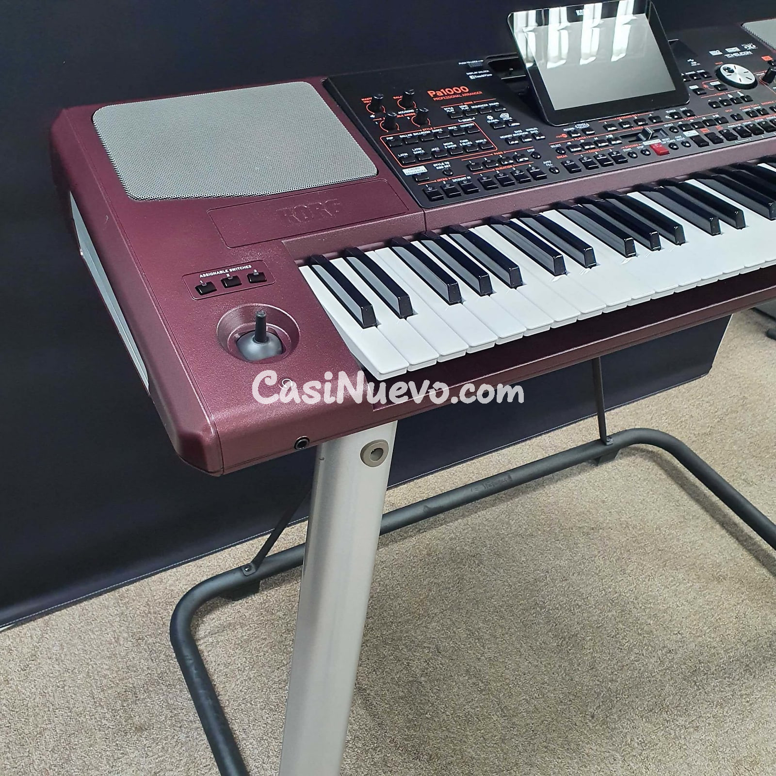 Korg Pa1000 61-Key Professional Arranger