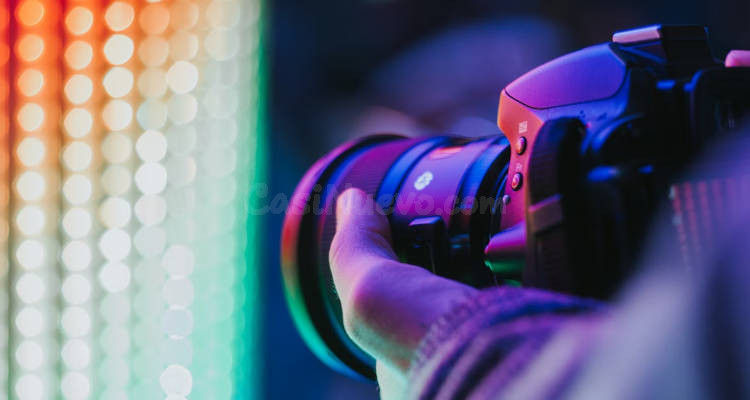 INVESTIGADOR PRIVADO Y EN VIGILANCIA FÍSICA