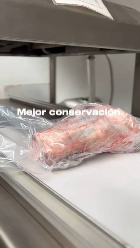 EMPACADORA AL VACIO (CODIGO - foto 5