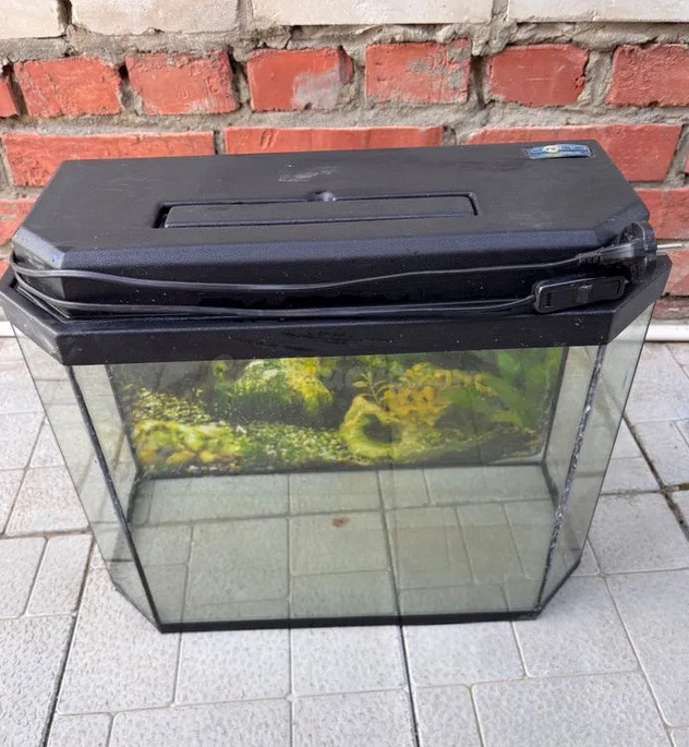 Aquario Vidrio Tapa Negra