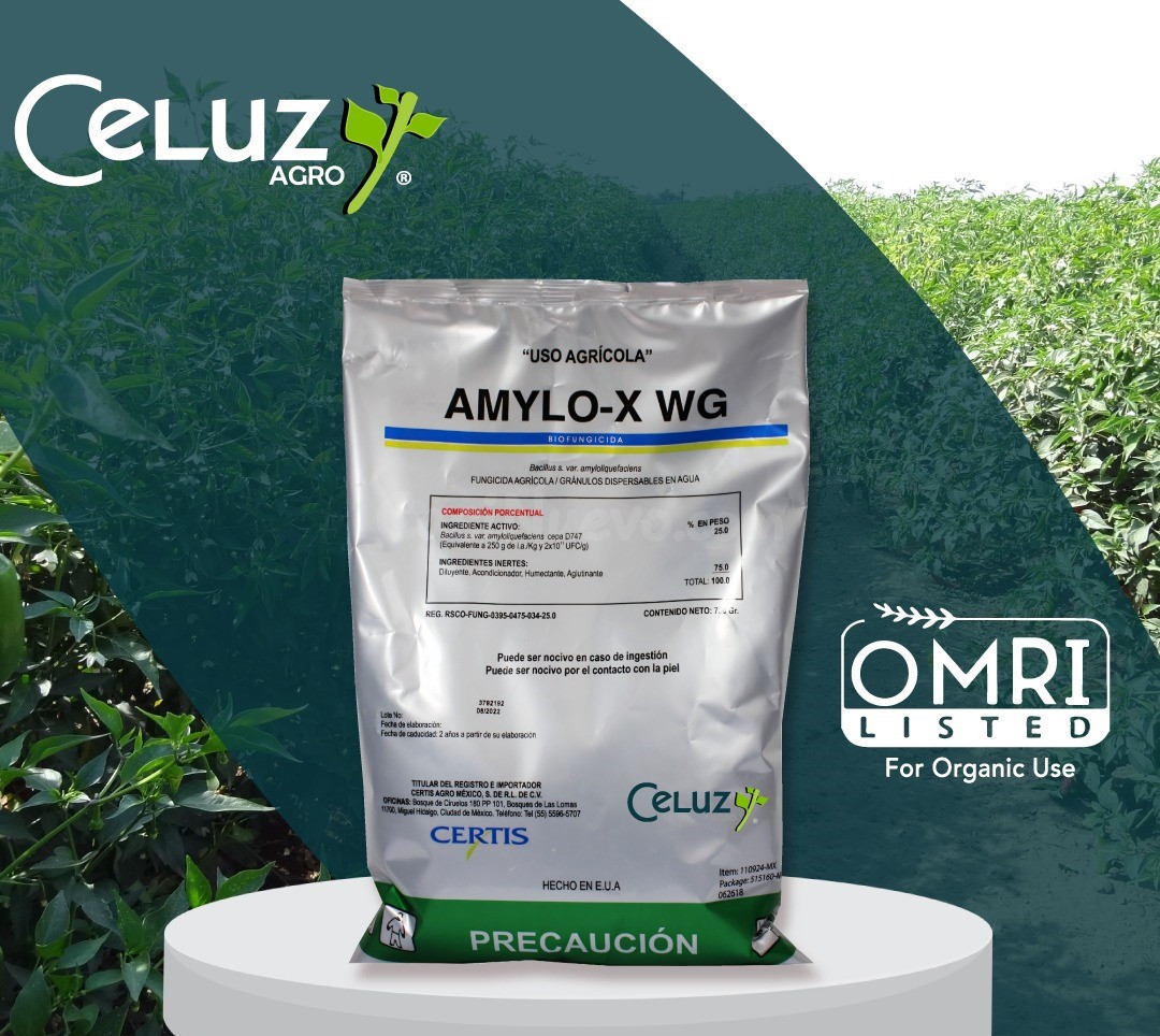 AMYLO-X WG (producto para el campo)