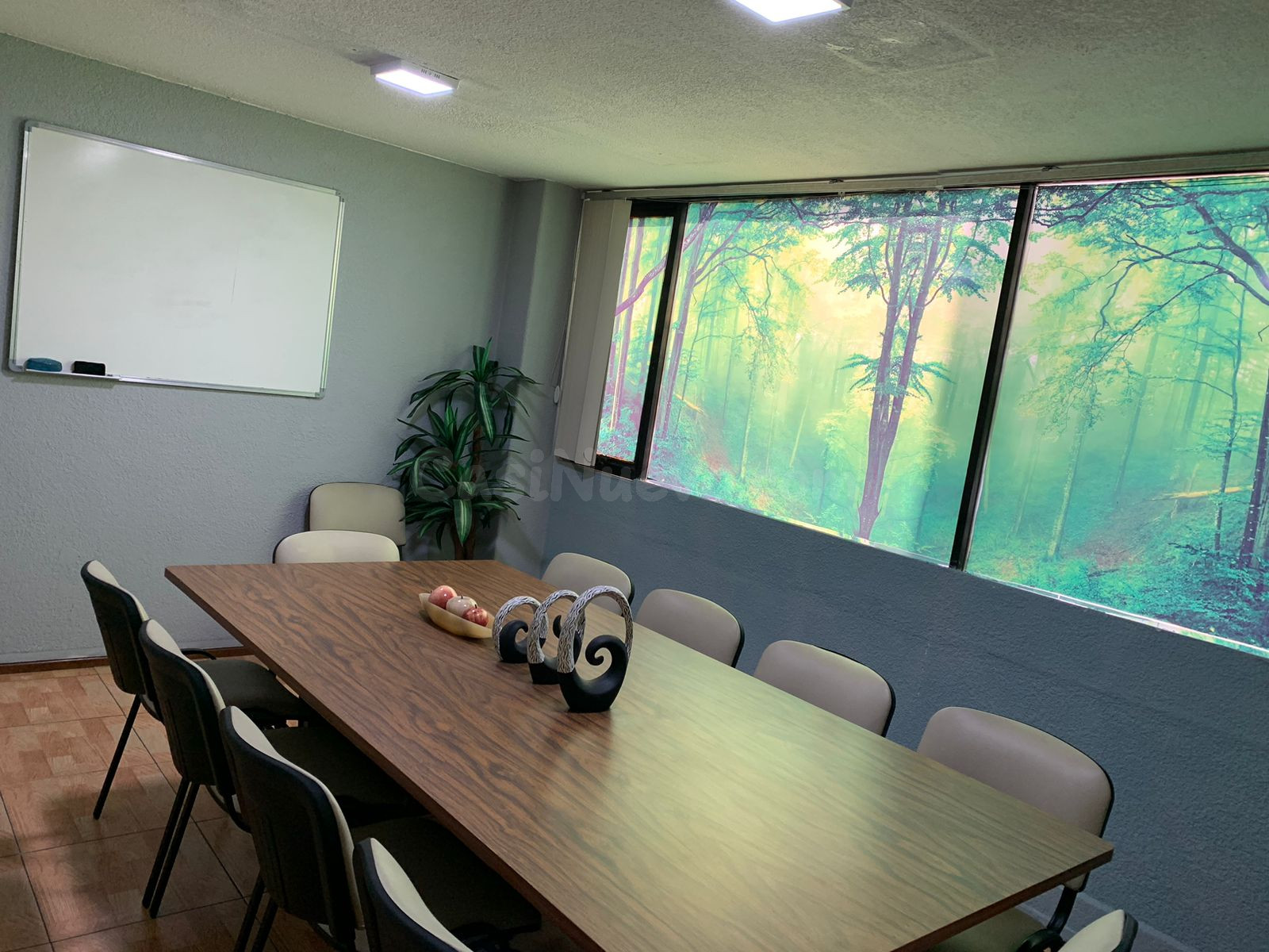 OFICINAS VIRTUALES EN NAUCALPAN - foto 2