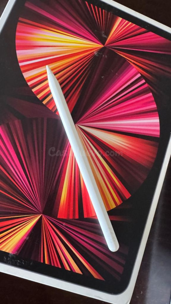 Apple iPad Pro de 11 pulgadas – Sin caja, en perfecto estado
