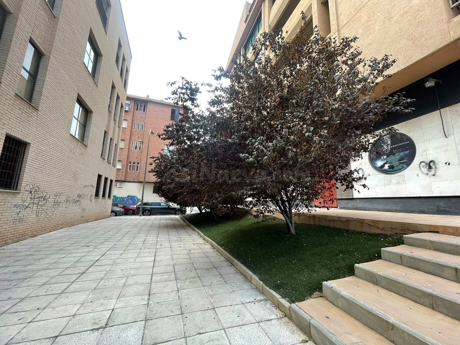 Oficina para alquilar
