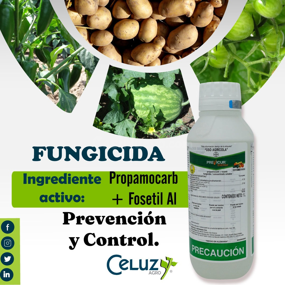 PREVICUR ENERGY (producto para el campo)