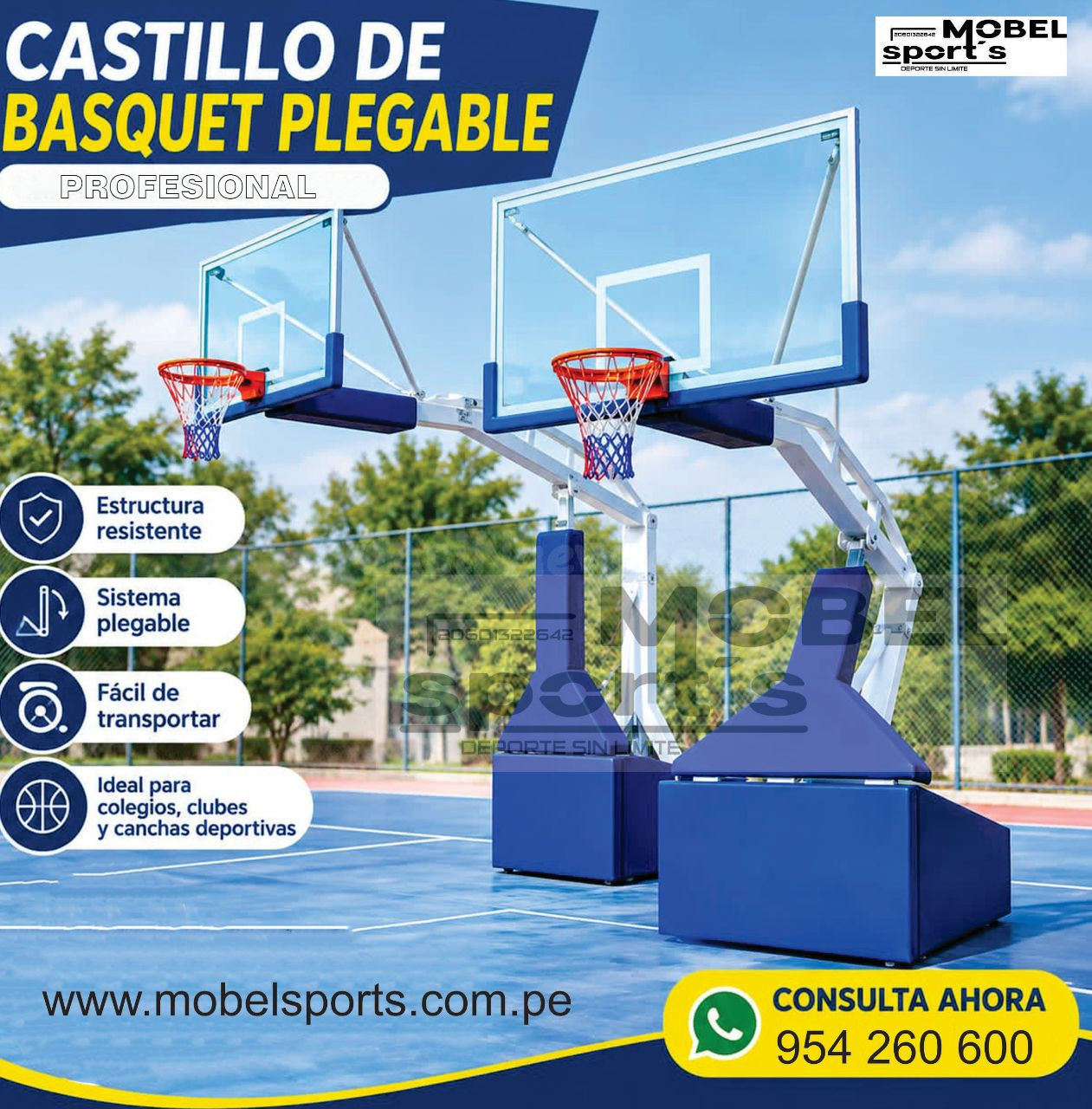 Castillo de Basketball  profesional de baloncesto