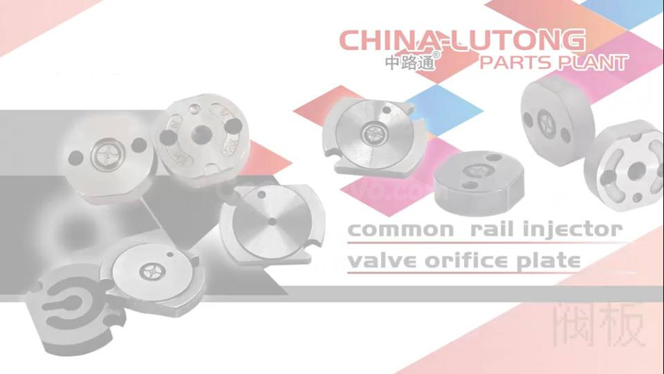 Lutong Common Rail Injector Valve Diésel