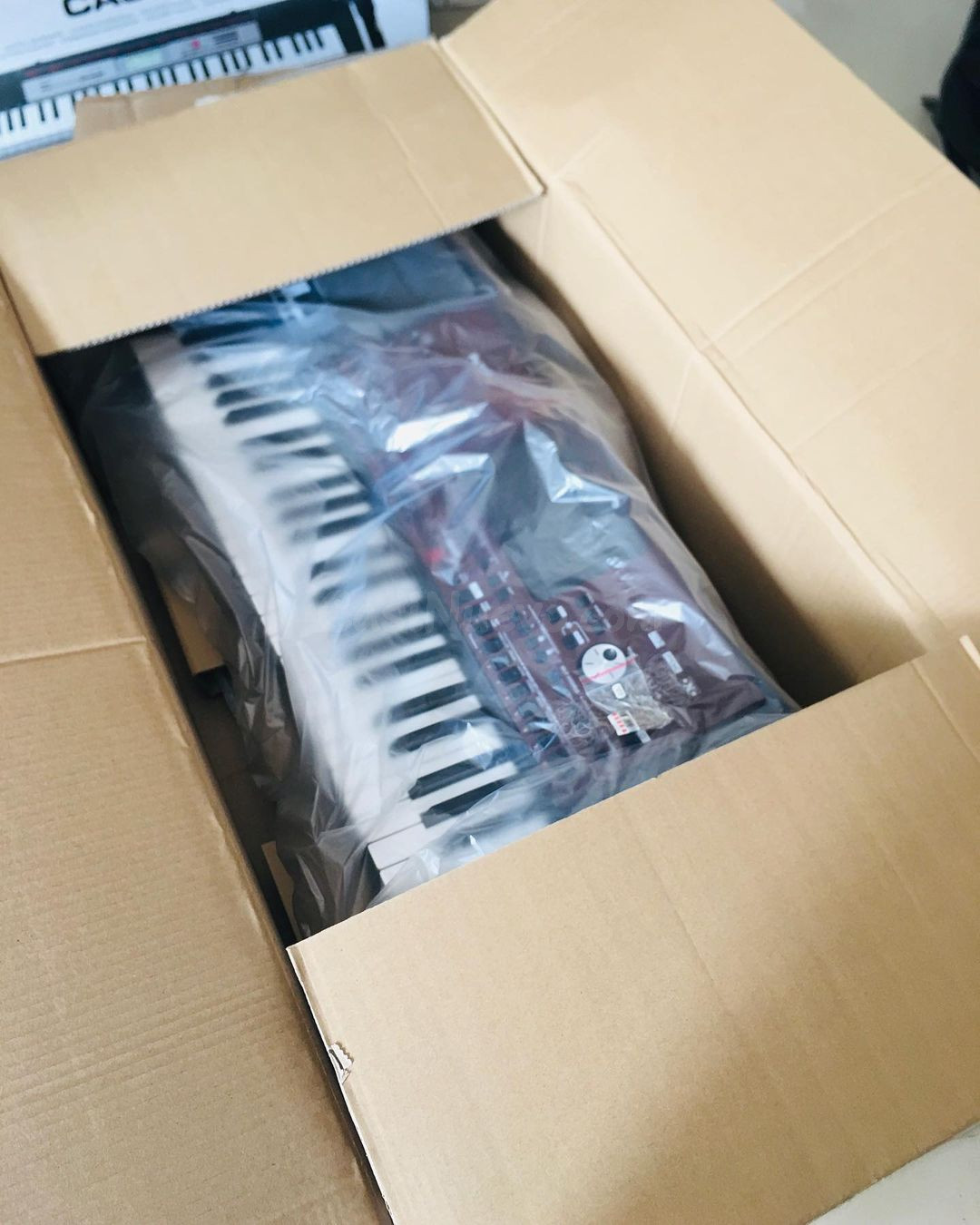 Korg Pa700 ORIENTAL de 61 teclas Arreglador profesional con pantalla táctil y altavoces