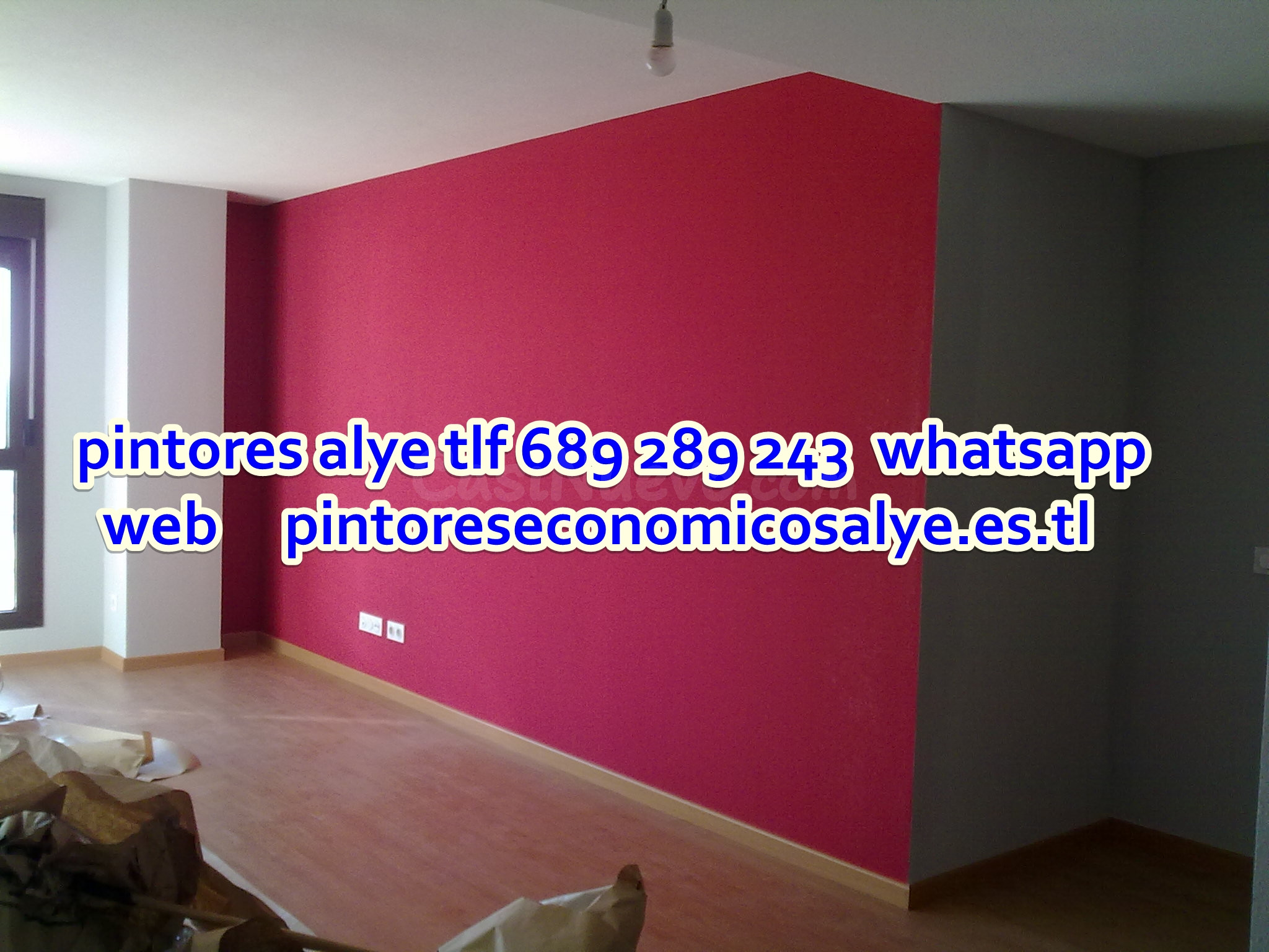 pintor en mostoles. ( alye español y económico. - foto 3