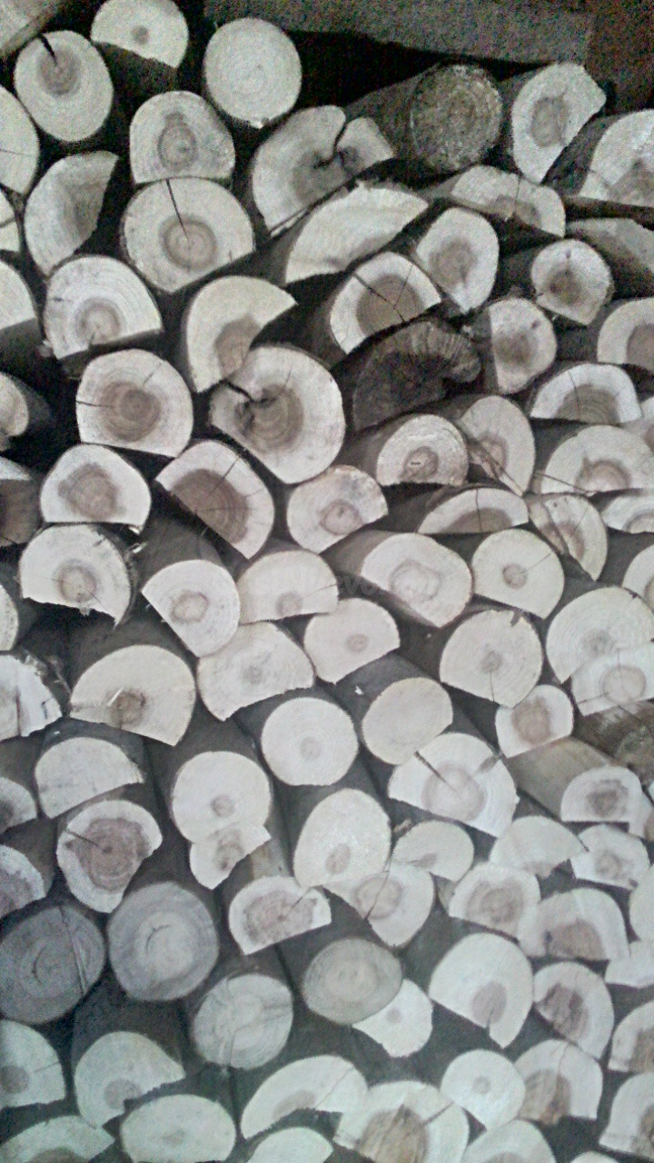 Leña semiseca para chimeneas