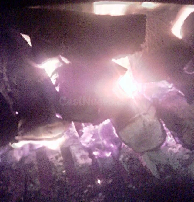 Leña semiseca para barbacoas/parrilladas - foto 5