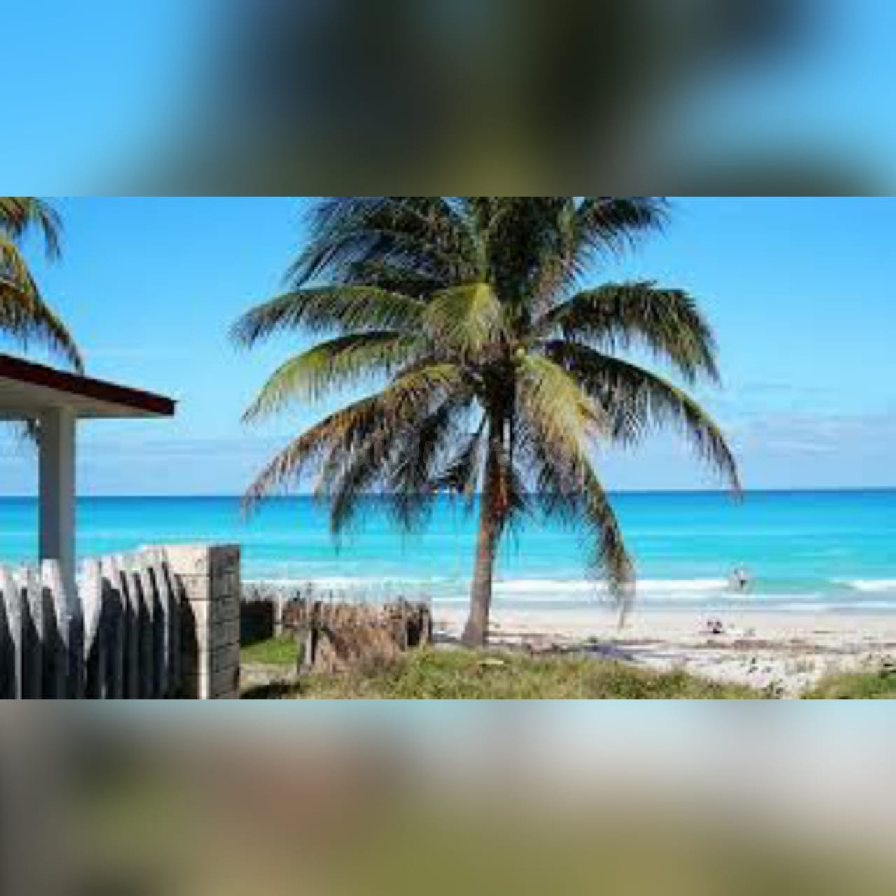 Pasare Las Navidades En Republica Dominicana.. - foto 2