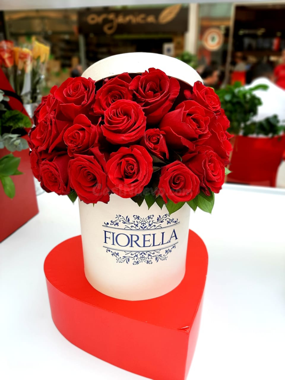 Opciones Para Regalar Contactar Via Whatsap - foto 4