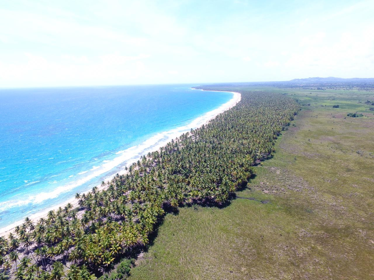 Terrenos Solares Y Fincas En Todo El Pais! (Republica Dominicana) - foto 2