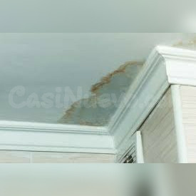 Filtraciones Lluvias Y Propiedades Dañadas, Lo Reparamos En Toda La Republica Dominicana - foto 4