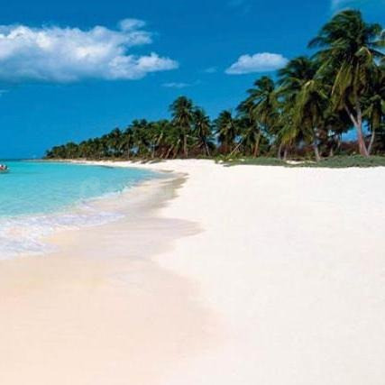Amplios Lotes De Terrenos En Venta En 1era Linea De Playa! (Punta Cana Y Toda La Republica Dominicana) - foto 2