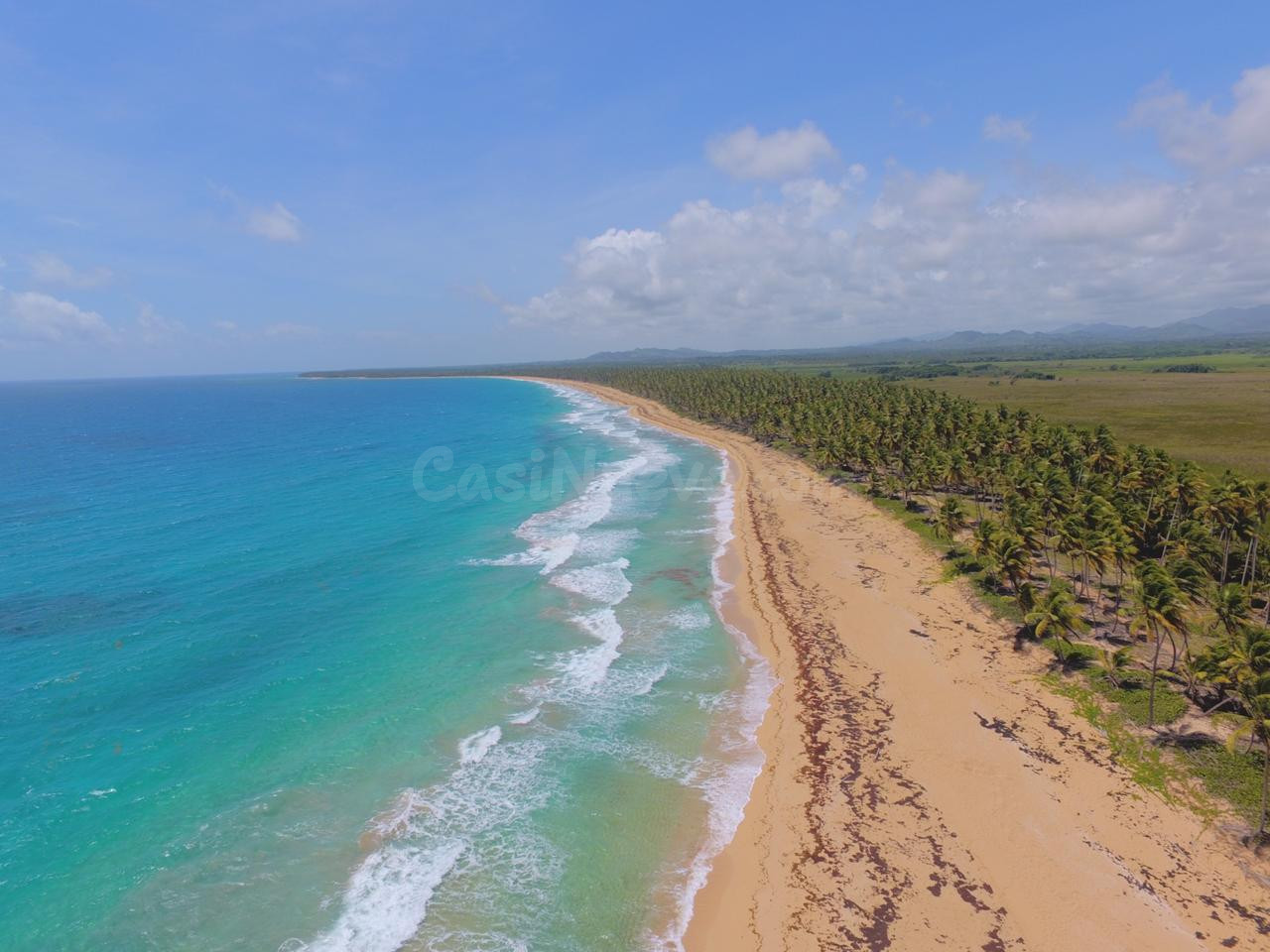Amplios Lotes De Terrenos En Venta En 1era Linea De Playa! (Punta Cana Y Toda La Republica Dominicana) - foto 4