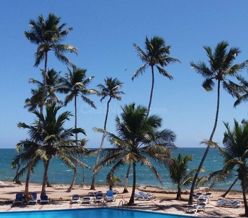 My Property In The Caribbean!! (Dominican Republic)