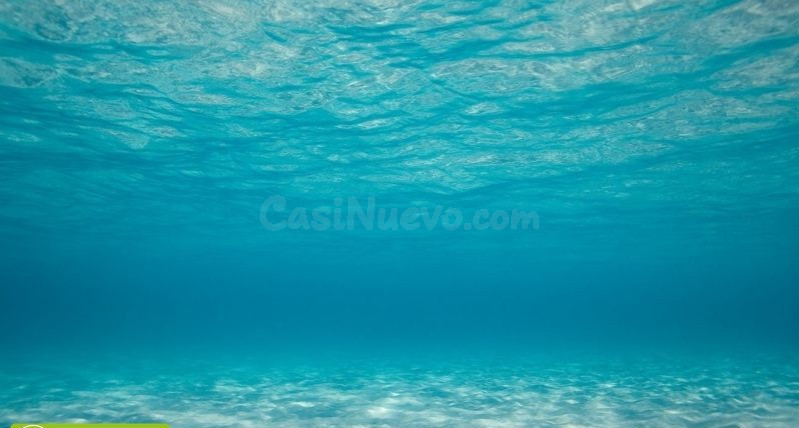Relax Vacaciones De Pelicula En La Republica Dominicana!! - foto 2