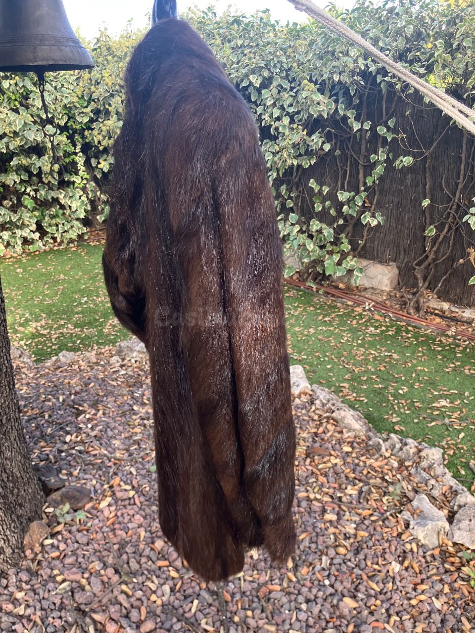 Chaquetón de piel de nutria autentico largo - foto 2