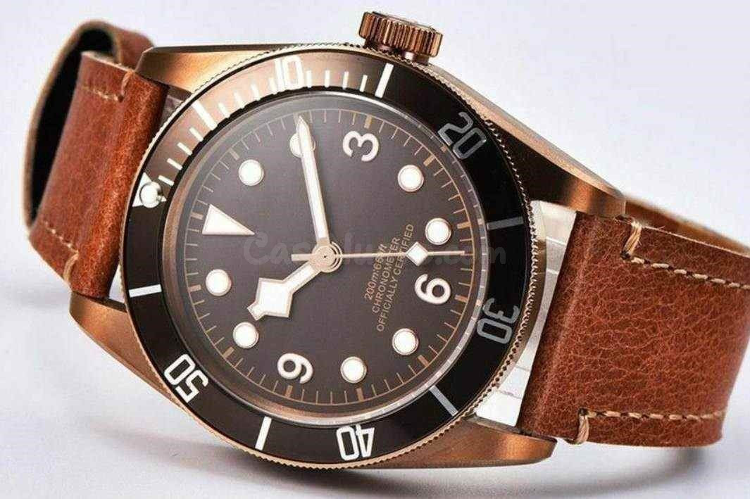 TUDOR Black Bay /Tudor Pelagos - foto 2
