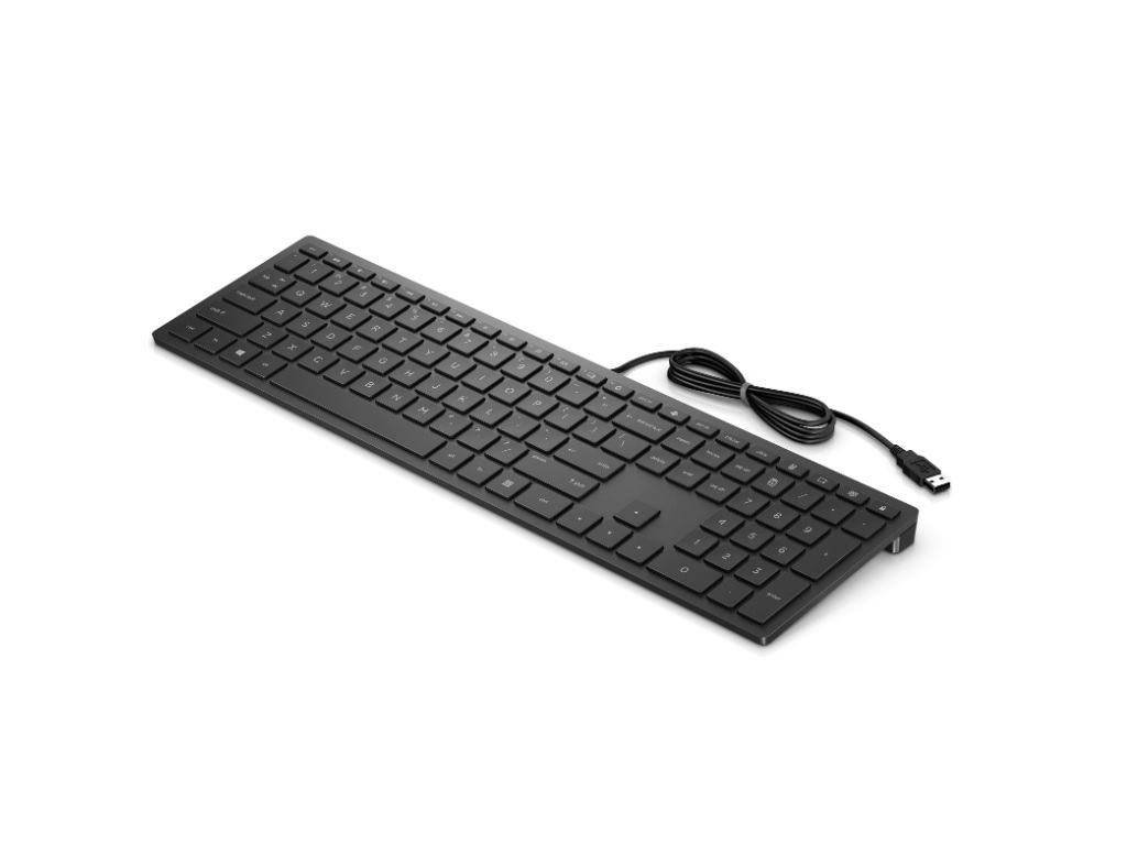 HP PAV Wired Keyboard 300 ADRHP PAV Wired Keyboard 300HP PAV Wired Keyboard 300 tastatura