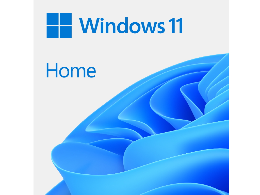 Windows 11 Home 64 bit OEM