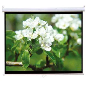 PPL GNC MS2 Platno za projektore 203x152cm zidno sa motorom